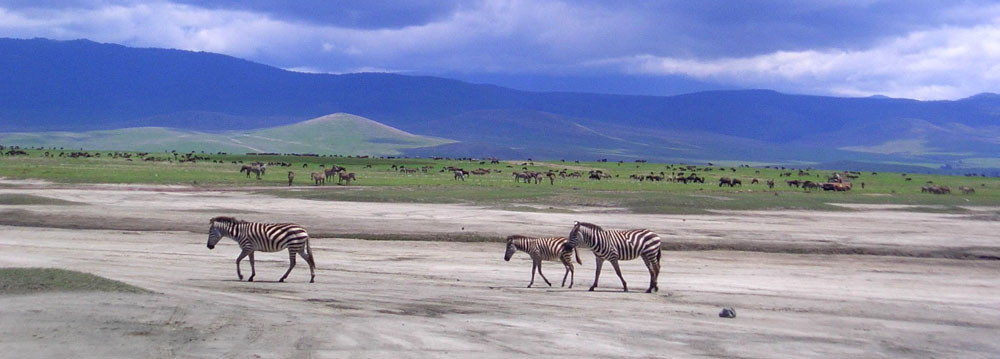 Riserva Ngorongoro
