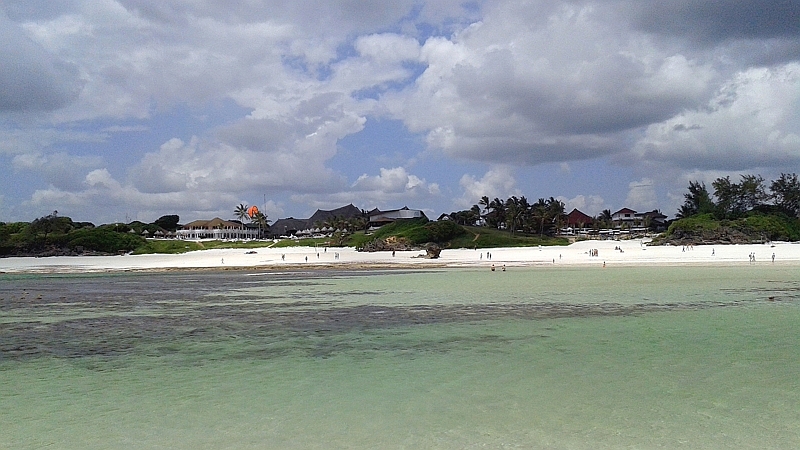Garoda & Gecko beach Watamu