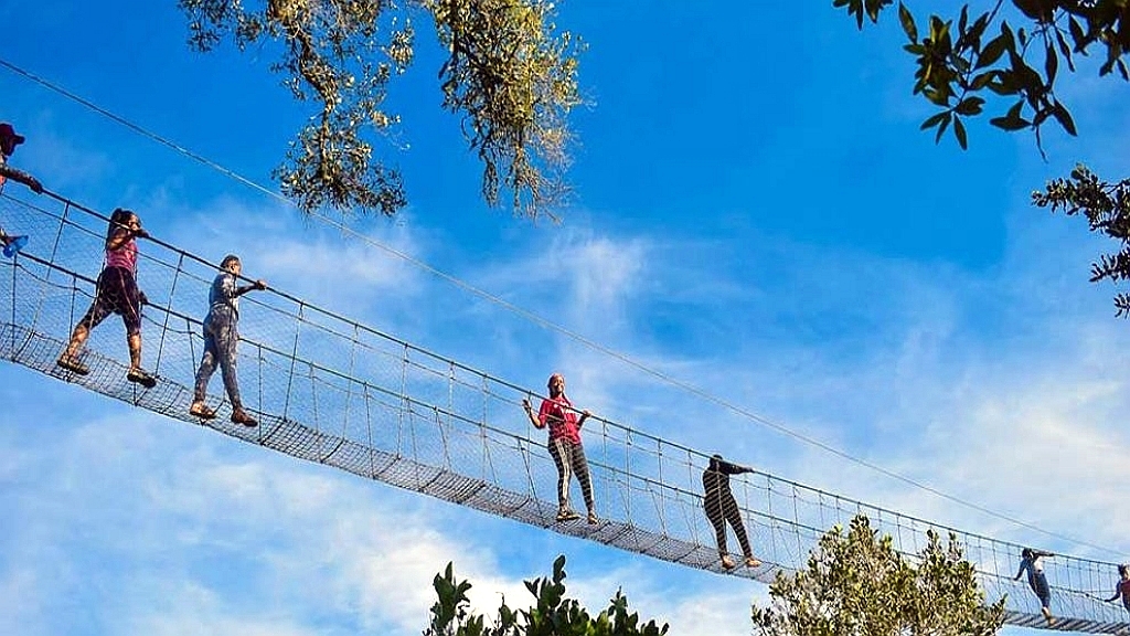 Canopy Walking in Ngare Ndare Forest Reserve