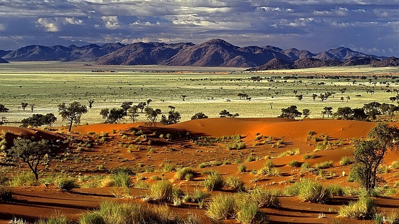 Kenya. Savana africana