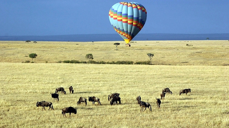 Kenya. Safari in mongolfiera