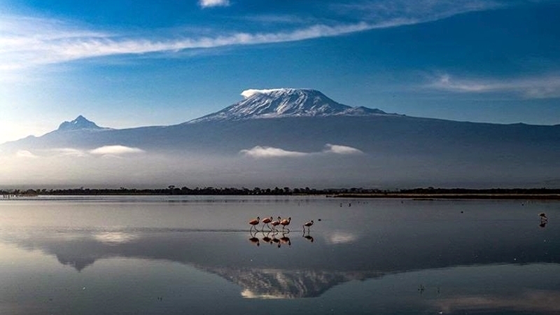 Kenya. Parco Amboseli. Quando l'immobilità porta pace e chiarezza