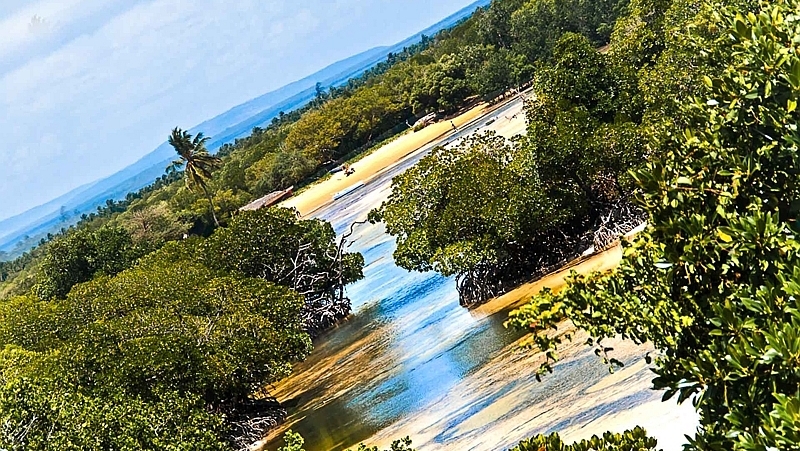 Kenya. Mida Creek Watamu