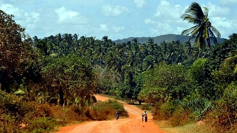 Kenya. Nei pressi di Kaloleni