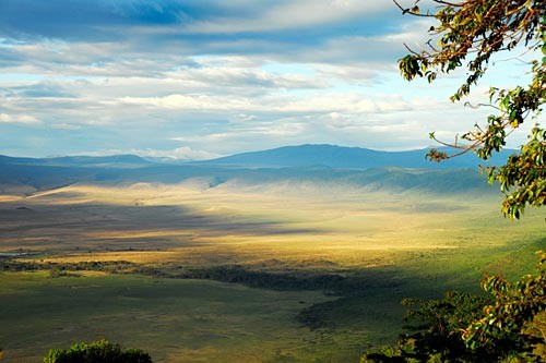 Cratere di Ngorongoro