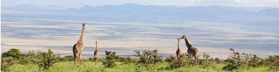 Riserva Ngorongoro