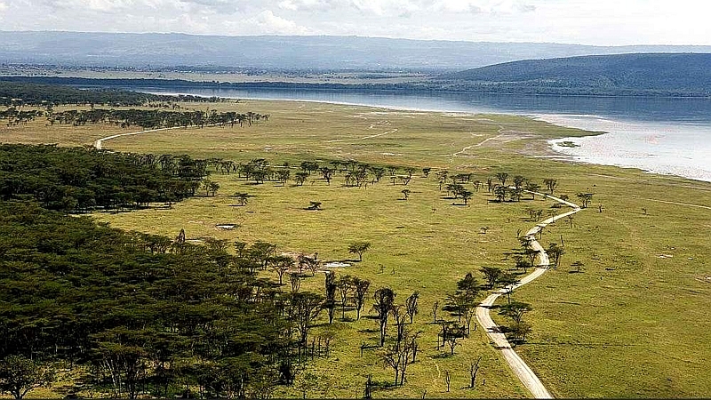 Scogliera del babbuino. Parco Nazionale lago Nakuru