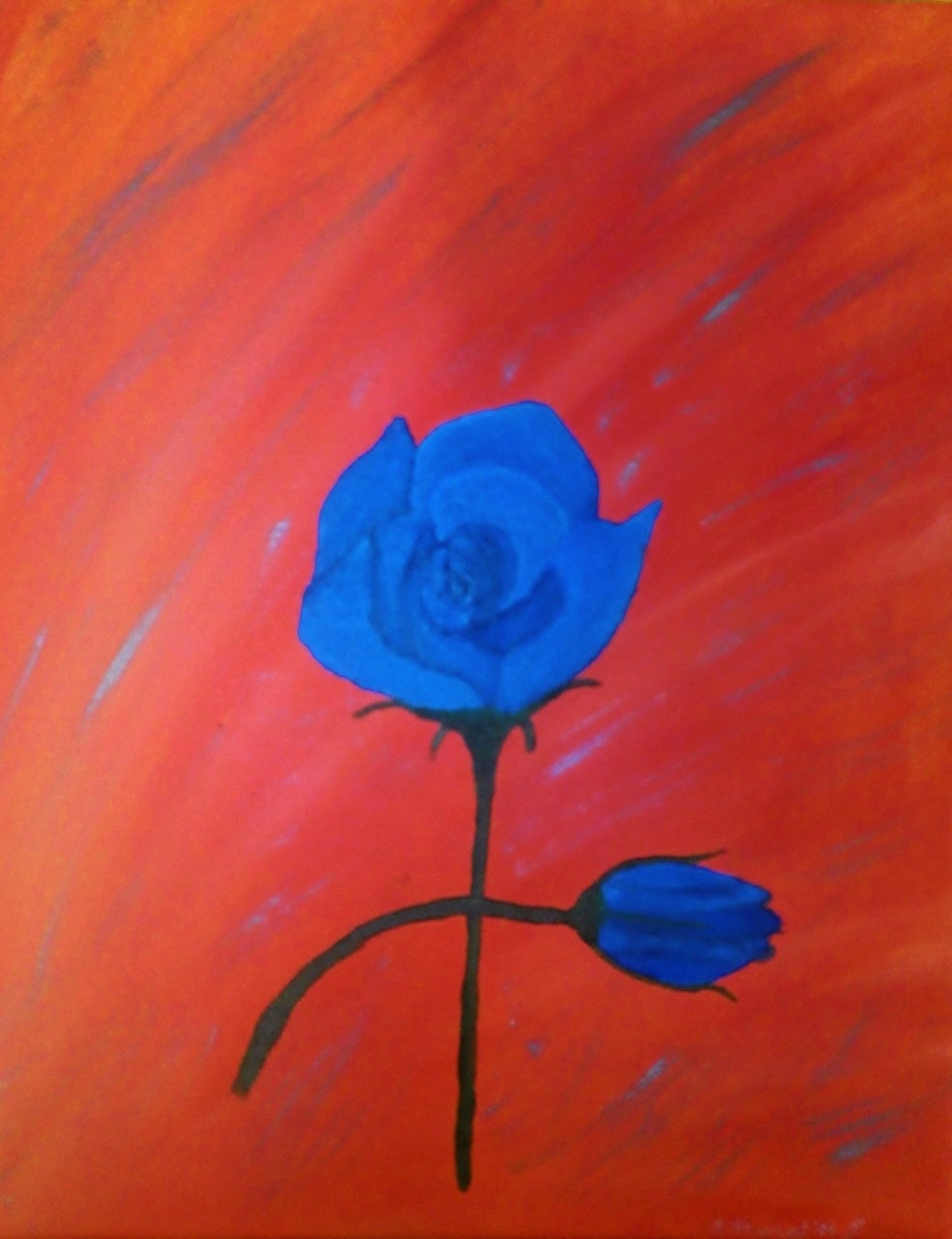 Blue Rose No 1