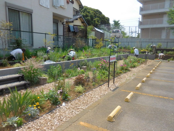 今日は上段の花壇の草取り