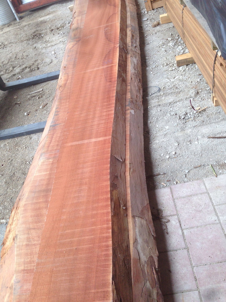 Holzarten - Unsere Empfehlungen - dieholzterrassens Webseite!