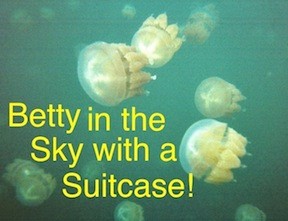 Here are the unbelievable jellyfish in Palau