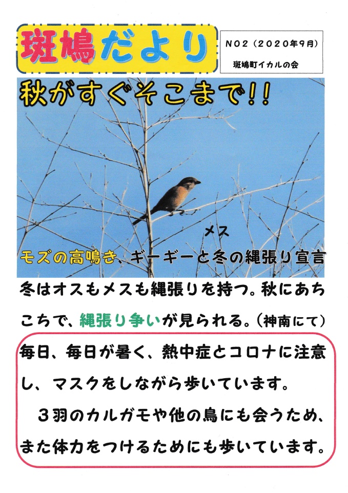 斑鳩だより 斑鳩町協働のまちづくり 斑鳩だより 斑鳩町協働のまちづくり