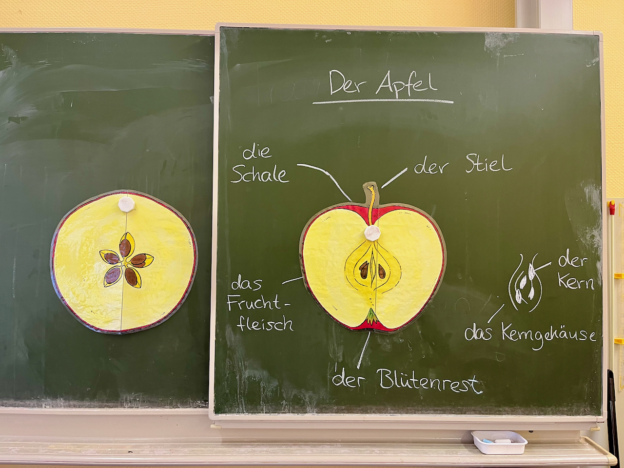 Rund um den Apfel