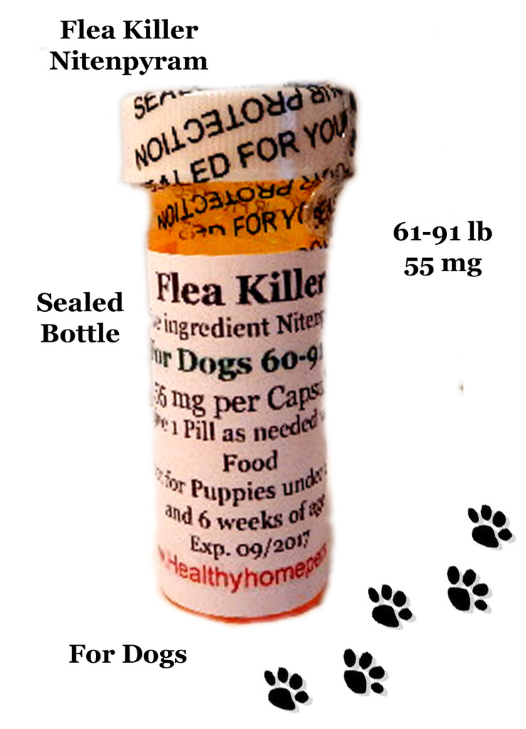 Dogs 6091 lb Healthyhomepets