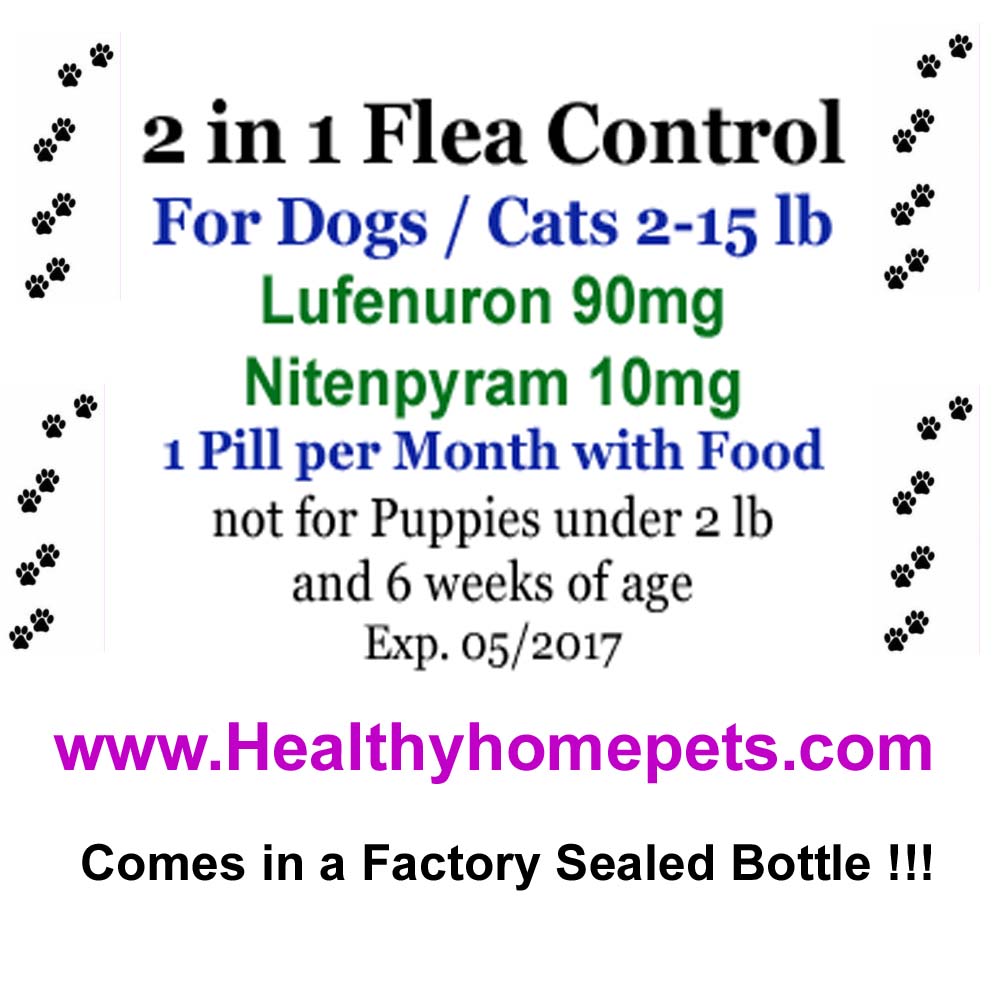 One Month Flea Pill Cats One Month Flea Pill Cats