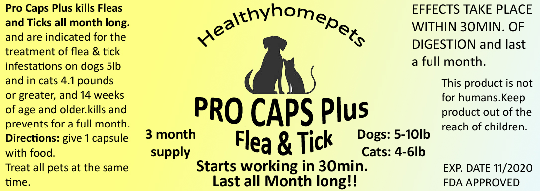 Tick And Flea Control 30days Spinosad Healthyhomepets