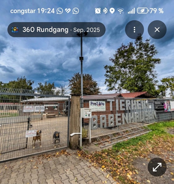 Rundgang durchs Tierheim