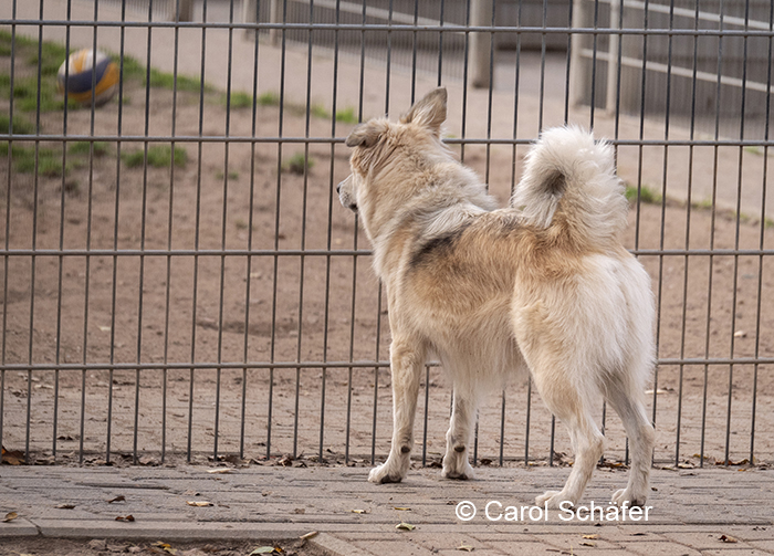 Bufdis gesucht ab 01.06. bzw 01.09.2025