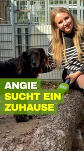 Angie bei FFH