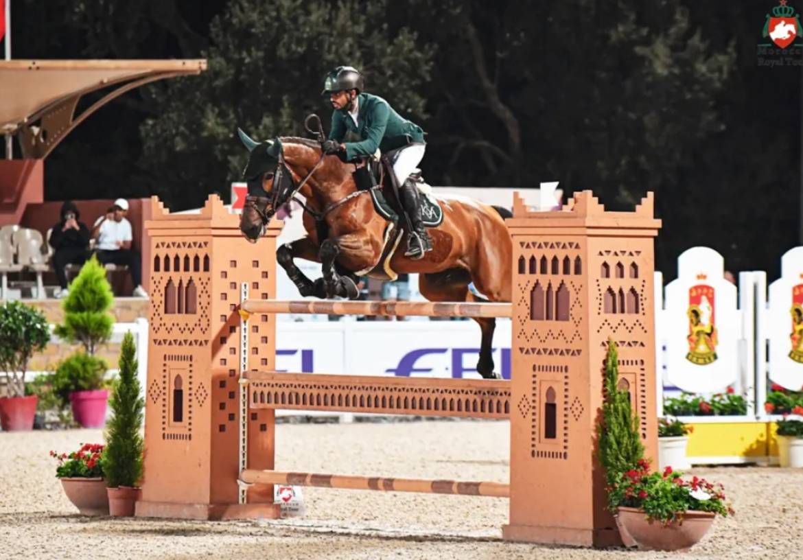Davenport VDL, geb. 2011