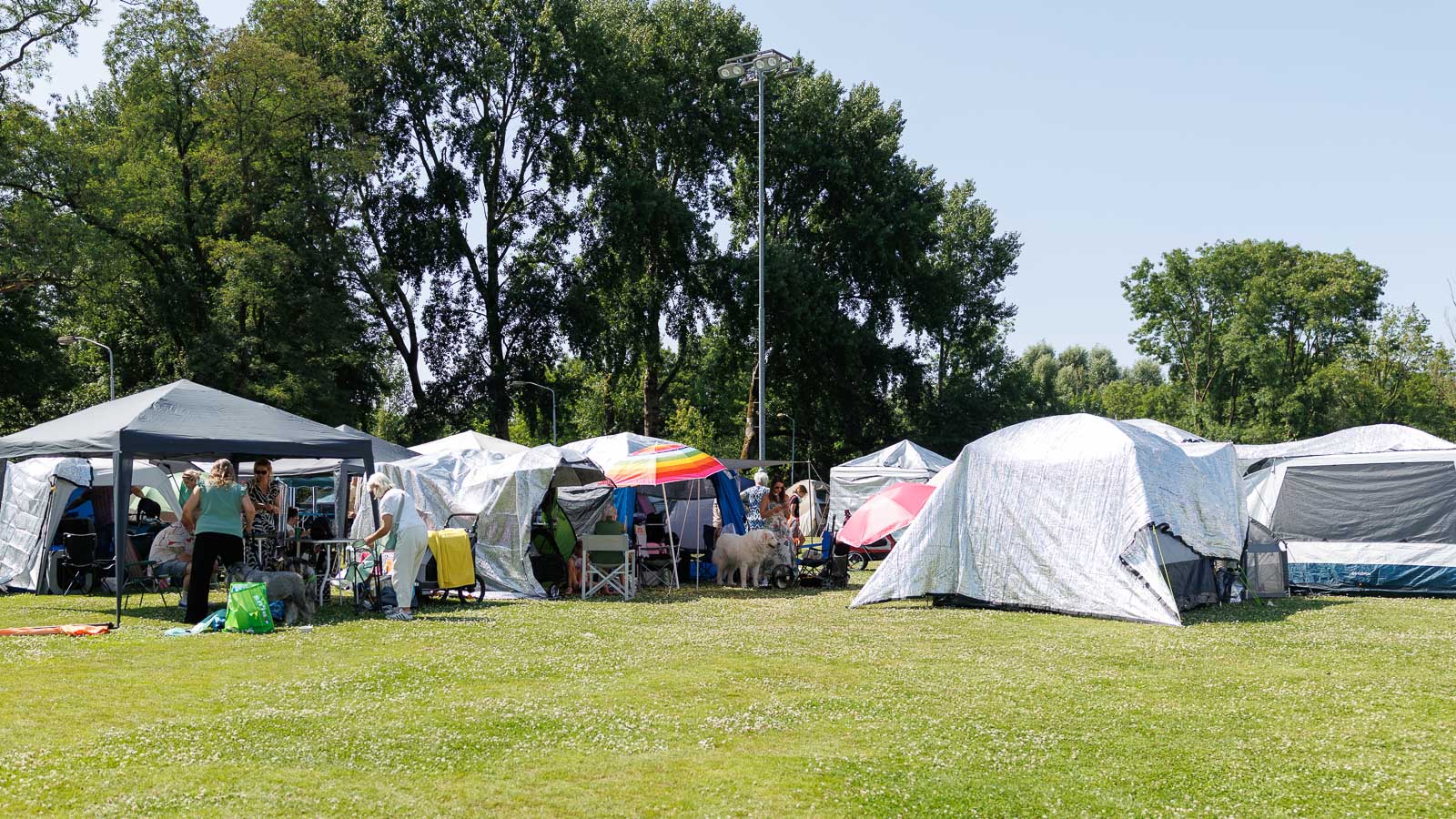 Dogshow Eindhoven 2025