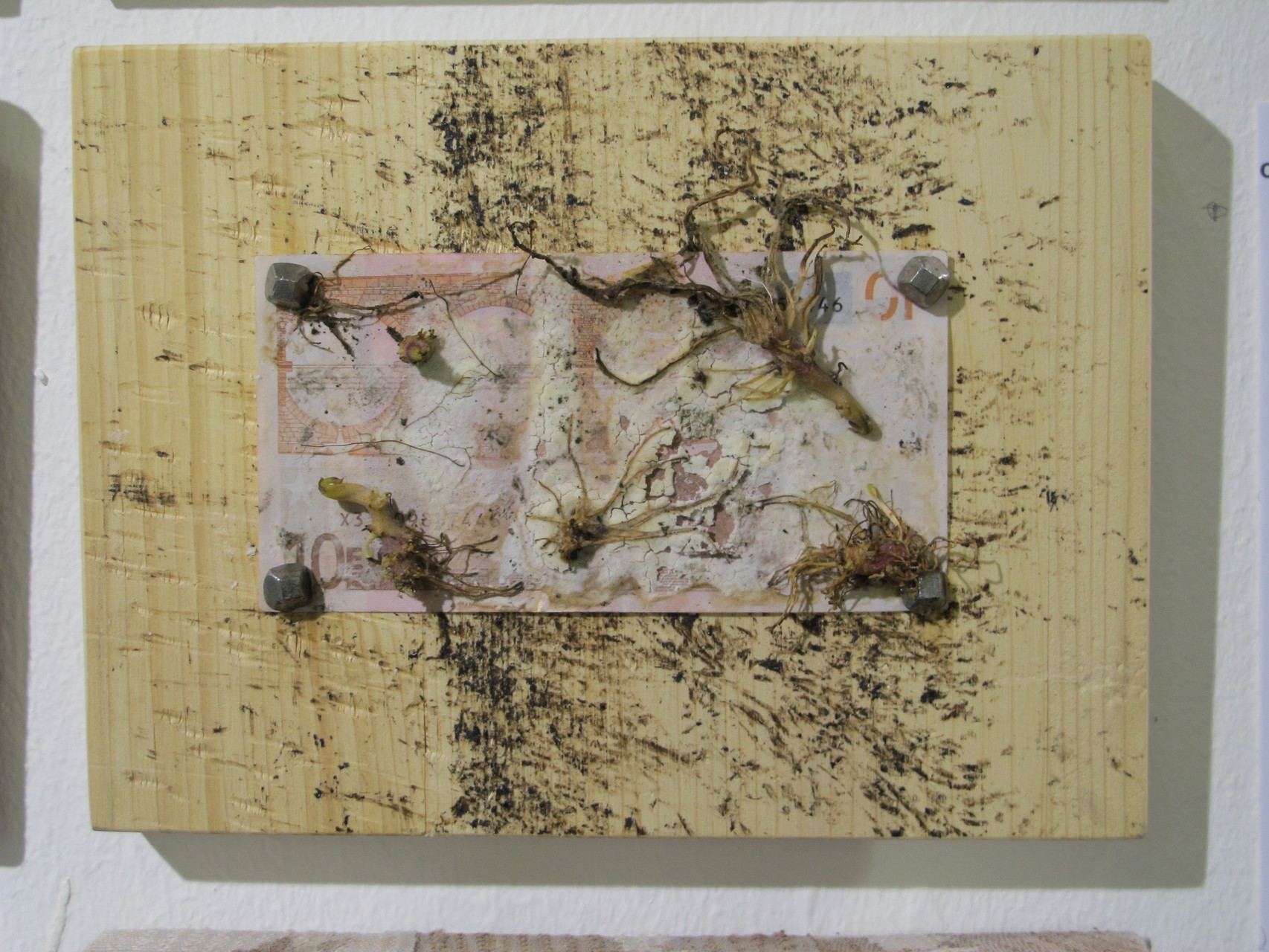 Biogeld (D.Baumgartner)