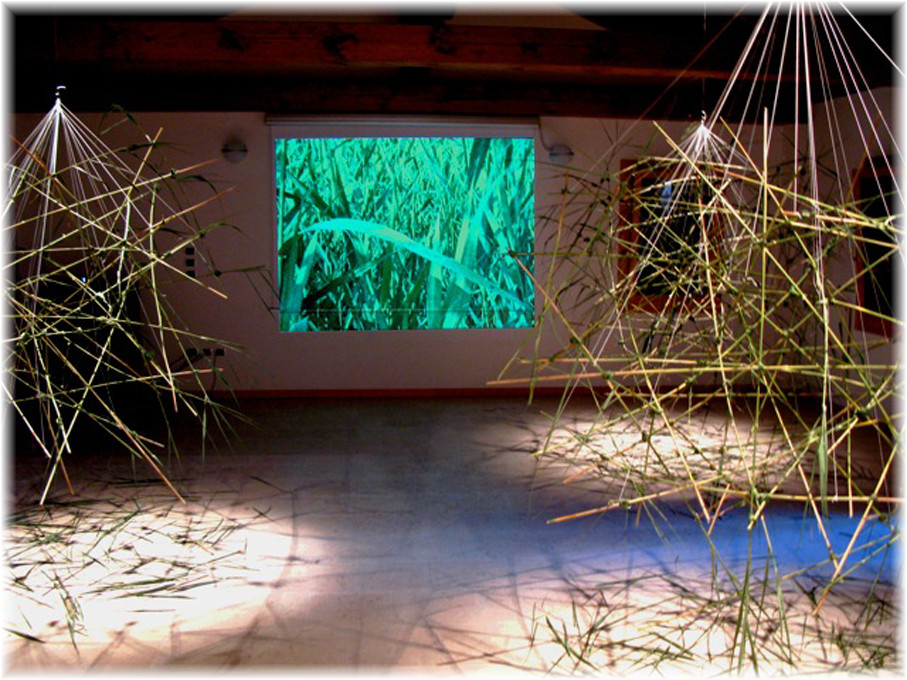 Video, Ton und Objektinstallation, Oasi Cervara, Treviso 2009, Wolfgang Wallner, Hall in Tirol