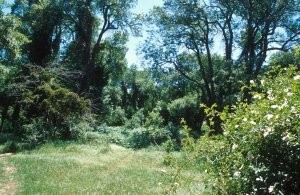 Biotope du Val d'Ifrane, Moyen Atlas central