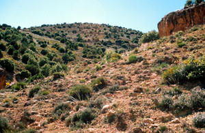 Biotope, Tirhboula, Moyen Atlas central