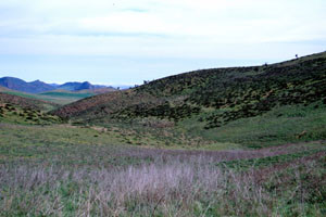 Biotope, Oulmès, Plateau central