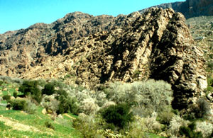 Biotope-type du Sud, Vallée des Ida-ou-Gnidif, Anti-Atlas sud-occidental