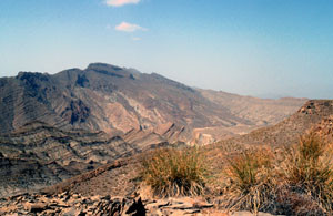 Biotope à ssp. edithae, Tizi-n-Ali, Haut Atlas oriental