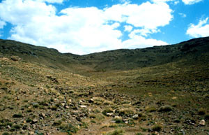 Biotope, Tizi-n-Ounzour, Anti-Atlas nord-oriental
