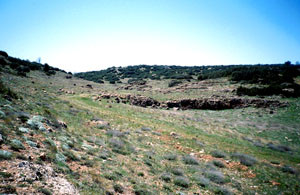 Biotope, Ifrane, Moyen Atlas central