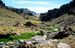 Habitat ripicole dans le Djebel Siroua, Anti-Atlas nord-oriental