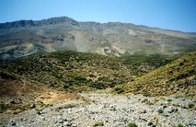Habitat de la ssp. berber, Djebel Bou-Iblane, Moyen Atlas septentrional