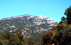 Habitat général de la ssp. rifensis (arrière plan), Djebel Lakraa, Rif occidental