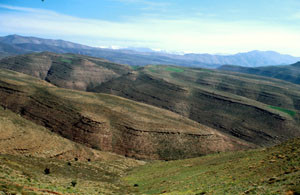 Habitat général, Tizi-n-Tamda, Haut Atlas oriental