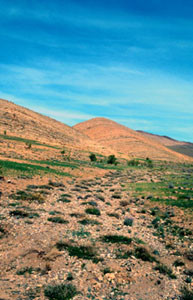 Biotope, Tizi-n-Tarakatine, Anti-Atlas sud-occidental