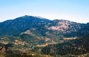 Habitat à ssp. nivellei, Djebel Tizouka, Rif occidental