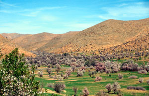 Habitat en amandaie, Tizi-n-Tarakatine, Anti-Atlas sud-occidental 