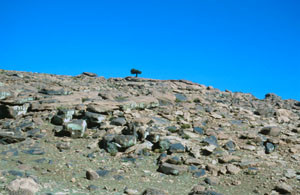 Espace de vol, Djebel Oukaïmeden, Haut Atlas central