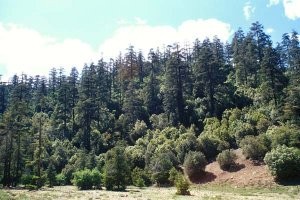 Station au Djebel Tarharhat, Moyen Atlas méridional
