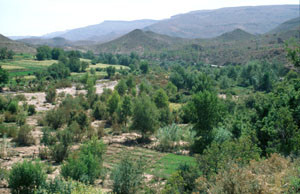 Biotope de berges du Haut Atlas central, versant sud du Tizi-n-Tichka