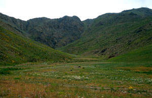 Habitat à ssp. maroccana, Djebel Oukaïmeden, Haut Atlas central