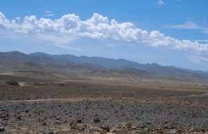 Écosystème de reg sur la morne meseta subdésertique du Djebel Sarrho, espace de vol de P. glauconome 