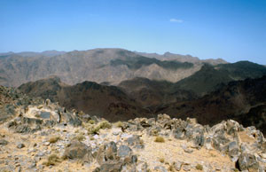 Biotope à ssp. subsaharae, Tizi-n-Tazazert, Anti-Atlas sud-occidental