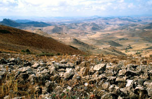 Habitat à ssp. colombani, rebords du Plateau d'Ito, Moyen Atlas central