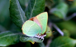 sud ouest rencontre avis