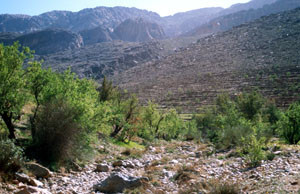 Biotope, Tizi-n-Tarakatine, Anti-Atlas sud-occidental